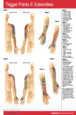 Matthews MUSC Bookstore : Trigger Points II Extremities Pocket Chart