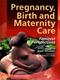 Pregnancy, Birth and Maternity Care: Feminist Perspectives Cover Image