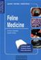 Self-Assessment Colour Review of Feline Medicine Cover Image