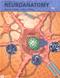 Textbook of Neuroanatomy Cover Image