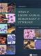 Avian and Exotic Animal Hematology and Cytology Cover Image