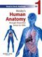 Mosbys Human Anatomy through Dissection Series for EMS: Head & Neck Anatomy on DVD Cover Image