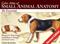 Color Atlas of Small Animal Anatomy: The Essentials Cover Image