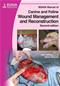 BSAVA Manual of Canine and Feline Wound Management and Reconstruction Cover Image