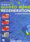 Twenty Years of Guided Bone Regeneration in Implant Dentistry Cover Image