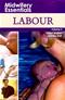 Midwifery Essentials: Labour Cover Image