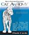 Cat Anatomy Flash Cards Cover Image