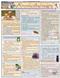 Aromatherapy Laminated Reference Chart Cover Image