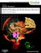 Medical Imaging and Radiotherapy Research: Skills and Strategies Cover Image