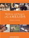 Medicine and Surgery Camelids Cover Image