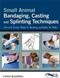 Small Animal Bandaging, Casting, and Splinting Techniques Cover Image