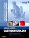 Small Animal Gastroenterology Cover Image
