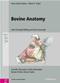 Bovine Anatomy:An Illustrated Text Cover Image