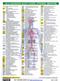 Diagnosis QuickCoder: Internal Medicine 2012 Laminated Reference Card Cover Image