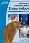BSAVA Manual of Canine and Feline Endocrinology Cover Image