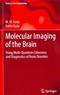 Molecular Imaging of the Brain: Using Multi-Quantum Coherence and Diagnostics of Brain Disorders Cover Image
