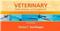 Veterinary Instruments and Equipment: A Pocket Guide Cover Image