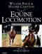 Equine Locomotion Cover Image