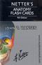 Netters Anatomy Flash Cards Cover Image