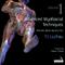 Advanced Myofascial Techniques: Shoulder, Pelvis, Leg and Foot Cover Image