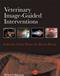 Veterinary Image-Guided Interventions Cover Image