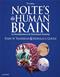 Noltes the Human Brain: An Introduction to Its Functional Anatomy. Text with Access Code (Student COnsult) Cover Image