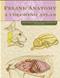 Feline Anatomy: A Coloring Atlas Cover Image