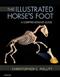 Illustrated Horses Foot: A Comprehensive Guide Cover Image