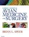 Current Therapy in Avian Medicine and Surgery Cover Image