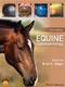 Equine Ophthalmology Cover Image