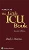 Little ICU Book of Facts and Formulas Cover Image
