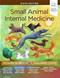 Small Animal Internal Medicine. Text with Access Code (Expert Consult) Cover Image