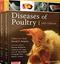 Diseases of Poultry: 2 Volume Set Cover Image