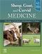 Sheep, Goat, and Cervid Medicine Cover Image