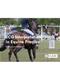 ECG Interpretation in Equine Practice Cover Image