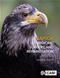 Raptor Medicine, Surgery and Rehabilitation Cover Image