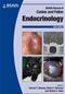 BSAVA Manual of Canine and Feline Endocrinology Cover Image