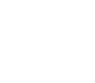 Spectrum Medical Evaluators logo