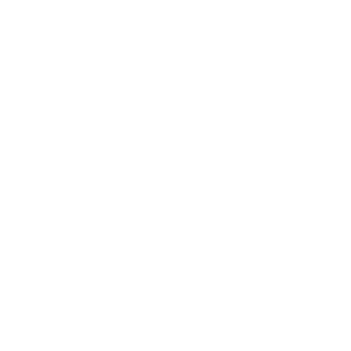 Bryden Pi logo