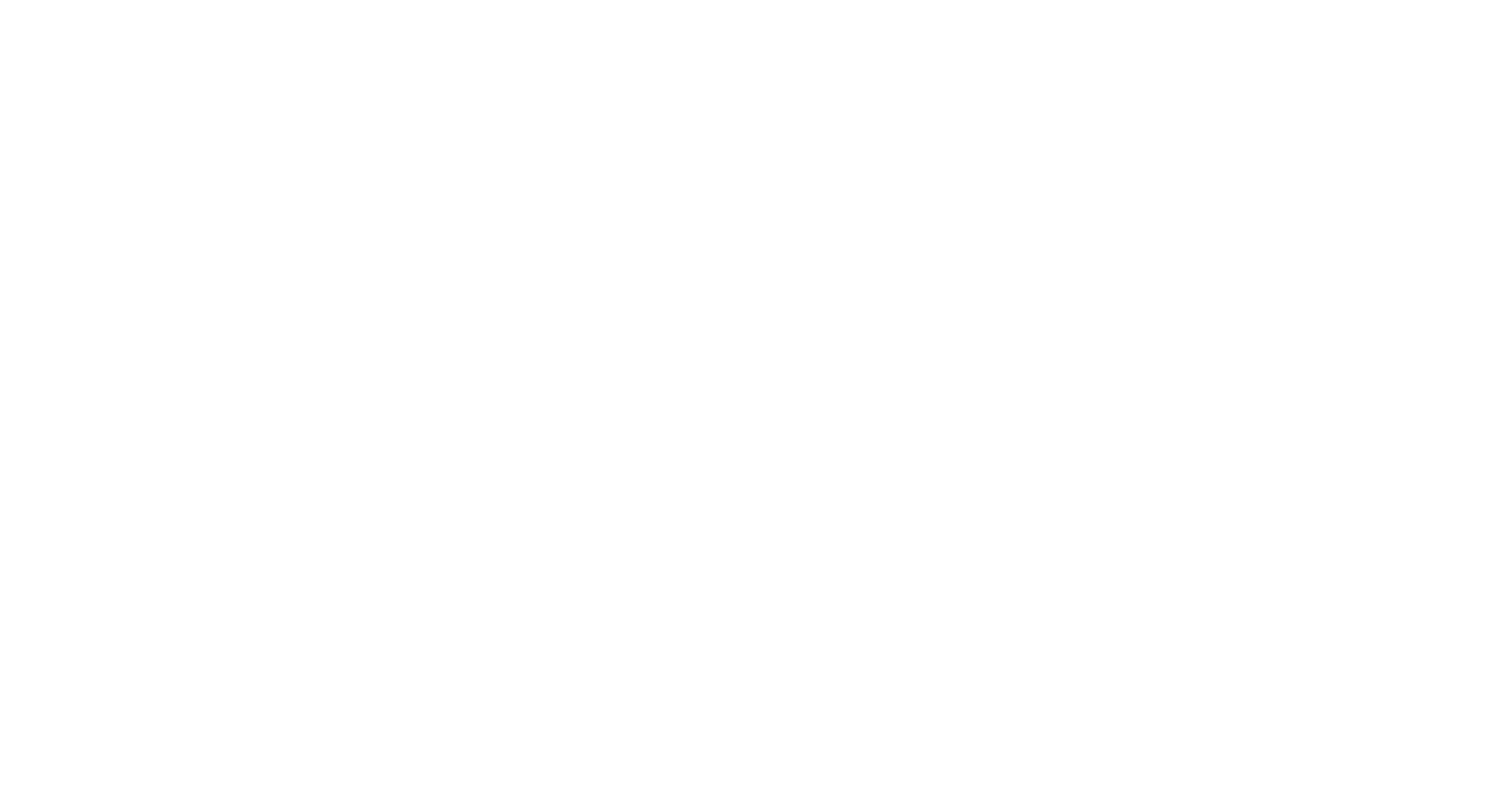 esaote logo