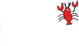 Maine Orthopaedic Review logo