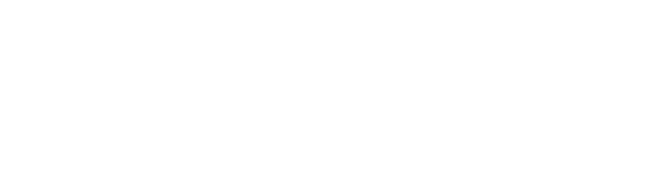Nimble logo