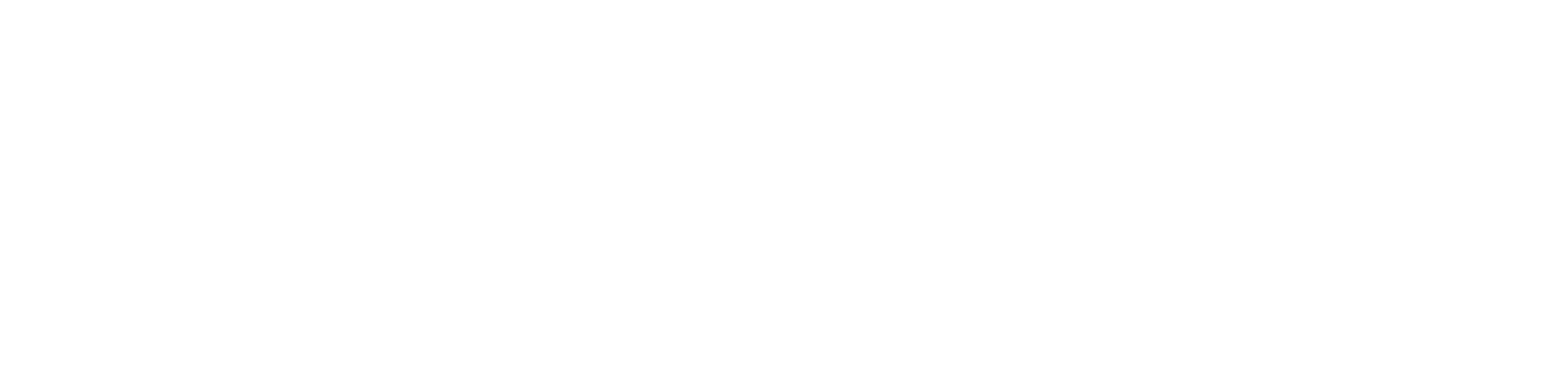 Spinal Simplicity logo