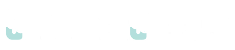 ShoulderSleeper logo