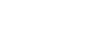 In2Bones logo