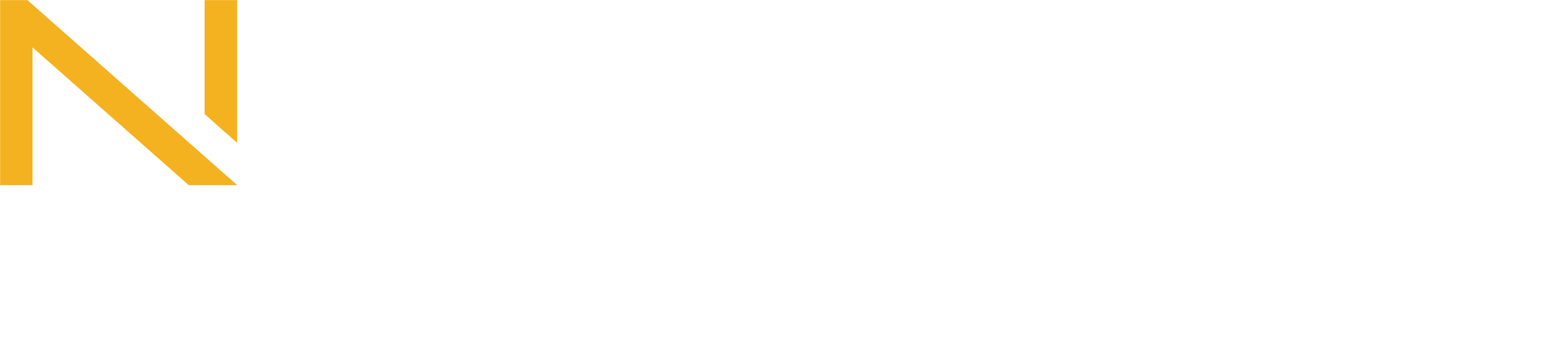 NVISION logo