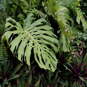 elevae_video_22_00018