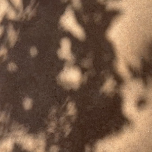 elevae_video_22_00051