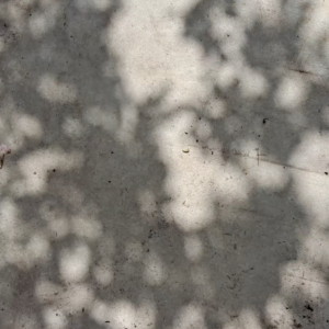 elevae_video_22_00010