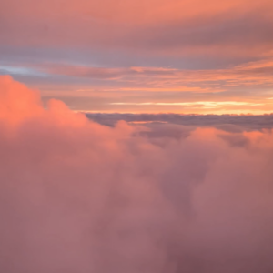 elevae_video_22_00007